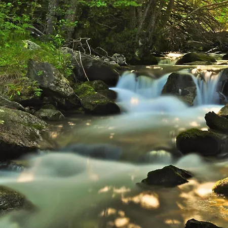 Les Bleuets * Bolquere