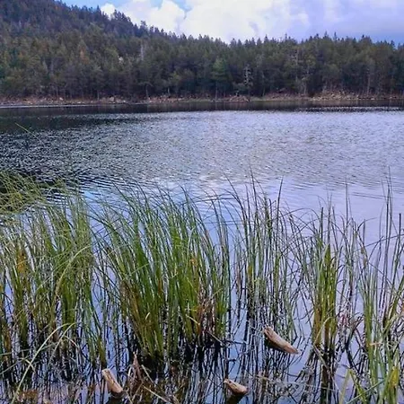 Les Bleuets * Bolquere