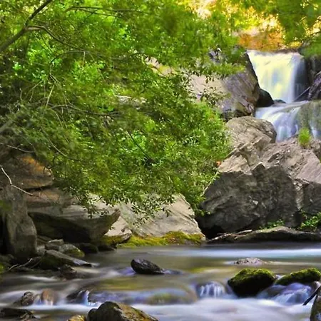 Дом отдыха Les Bleuets *