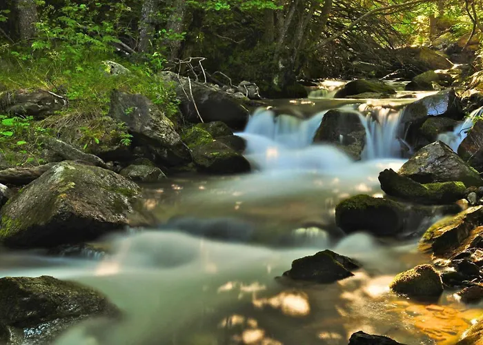 Les Bleuets Bolquere Pyrenees 2000