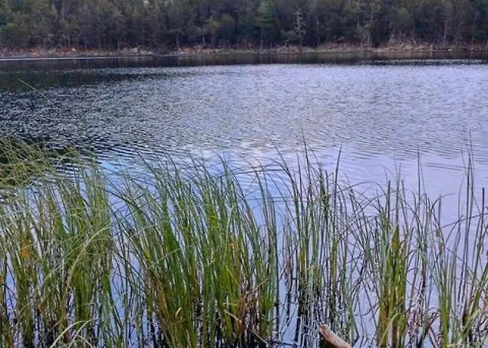 Les Bleuets Casa de Férias