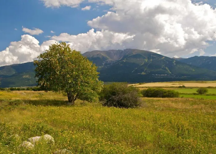 Les Bleuets Casa de Férias *